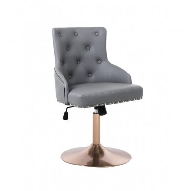 Klasikinio stiliaus grožio salono kėdė stabiliu pakoju HR654N, pilka