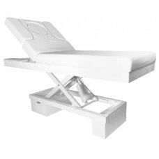 Профессиональная электрическая кушетка-кровать для массажа и СПА процедур AZZURRO 815B (С ОСВЕЩЕНИЕМ)