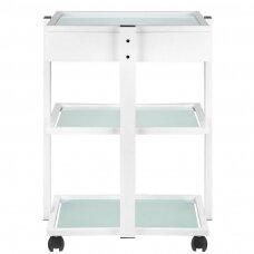 GIOVANNI CLASSIC 1040A professional cosmetic trolley