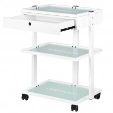 GIOVANNI CLASSIC 1040A professional cosmetic trolley