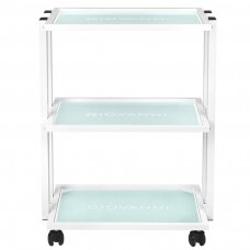 GIOVANNI CLASSIC TYP 1041 professional cosmetology trolley with a wide surface with a place for lamps and magnifiers
