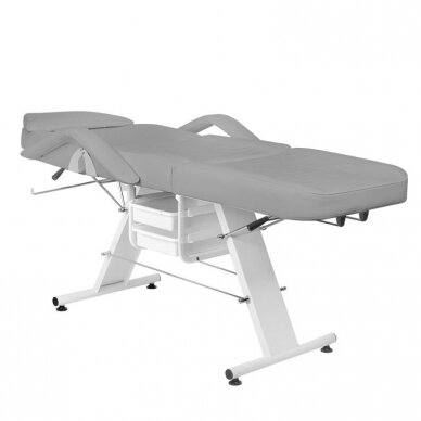 Professional cosmetic bed-bed A-202, gray 1