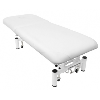Professional electric massage table AZZURRO 684 (1 motor) 3