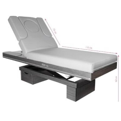 Professional electric couch-bed for massage and spa salons AZZURRO 815B (with heated mattress) 1 Professional electric couch-bed for massage and spa salons AZZURRO 815B (with heated mattress) 1