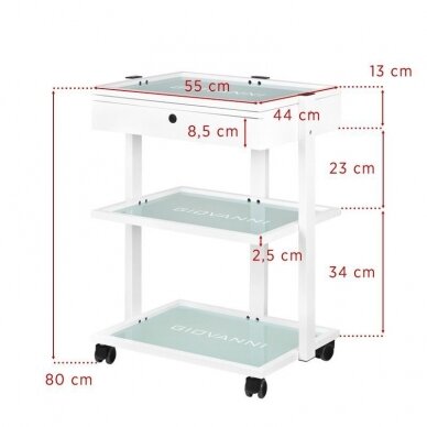 GIOVANNI CLASSIC 1040A professional cosmetic trolley 2