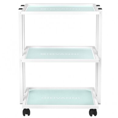 GIOVANNI CLASSIC TYP 1041 professional cosmetology trolley with a wide surface with a place for lamps and magnifiers