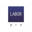 labor-pro-logo-1