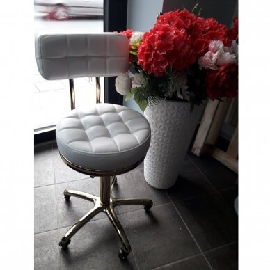 Профессиональное кресло-табурет для мастера красоты GOLD AM-961, белого цвета 11