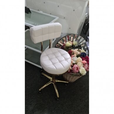 Профессиональное кресло-табурет для мастера красоты GOLD AM-961, белого цвета 8