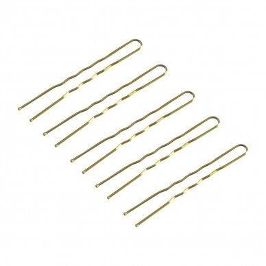 Plaukų segtukai šukuosenoms formuoti E-57 120 vnt. ( 5,6 cm )
