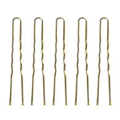 Plaukų segtukai šukuosenoms formuoti E-57 120 vnt. ( 5,6 cm ) 1 Plaukų segtukai šukuosenoms formuoti E-57 120 vnt. ( 5,6 cm ) 1