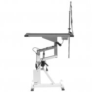 Professional animal grooming table electrically controlled AEOLUS, 74x46 cm