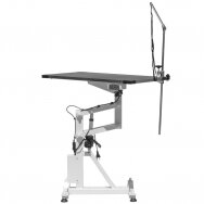 Professional animal grooming table electrically controlled AEOLUS, 74x46 cm