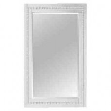 Prabangus grožio salono veidrodis LUSTRO TM80013 60x90cm, sidabrinės spalvos