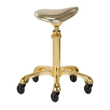 Professional masters chair for beauticians and beauty salons FINE GOLD ROLL SPEED, gold color Professional masters chair for beauticians and beauty salons FINE GOLD ROLL SPEED, gold color