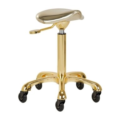Professional masters chair for beauticians and beauty salons FINE GOLD ROLL SPEED, gold color Professional masters chair for beauticians and beauty salons FINE GOLD ROLL SPEED, gold color