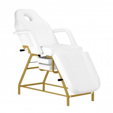 Profesionali kosmetologinė lova-kėdė grožio procedūroms 557G, baltai auksinės spalvos 1
