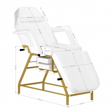 Profesionali kosmetologinė lova-kėdė grožio procedūroms 557G, baltai auksinės spalvos 18