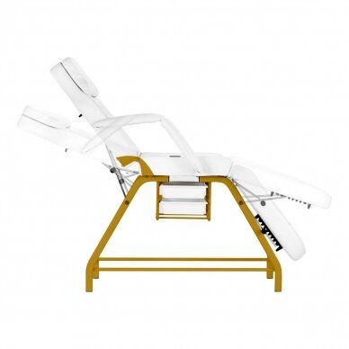 Profesionali kosmetologinė lova-kėdė grožio procedūroms 557G, baltai auksinės spalvos 5