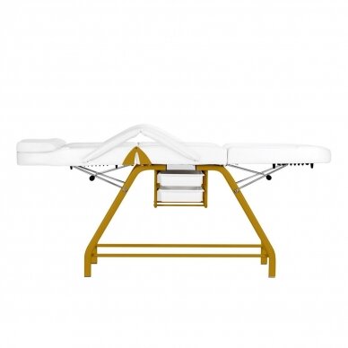 Profesionali kosmetologinė lova-kėdė grožio procedūroms 557G, baltai auksinės spalvos 7