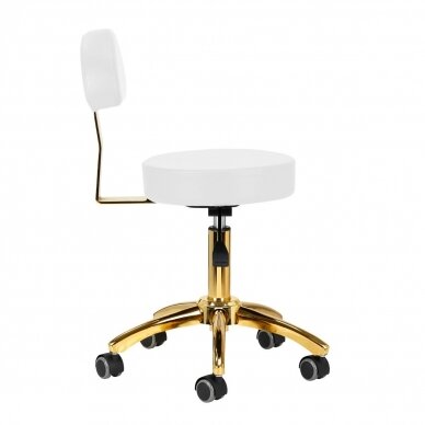 Professional master chair for beauticians AM-304G, white with gold details 1
