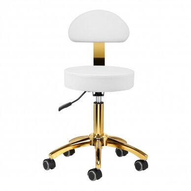 Professional master chair for beauticians AM-304G, white with gold details 2