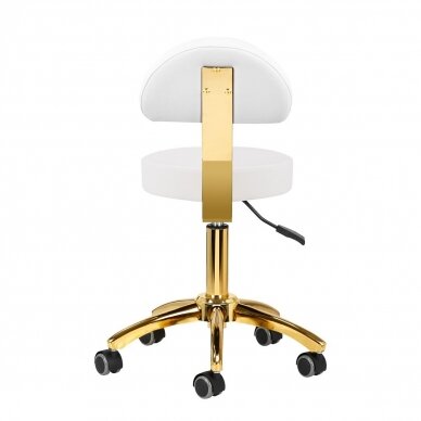Professional master chair for beauticians AM-304G, white with gold details 3