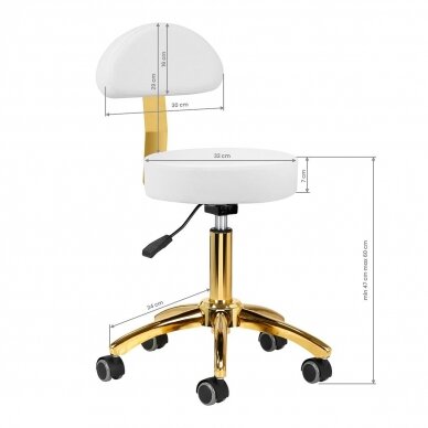 Professional master chair for beauticians AM-304G, white with gold details 6