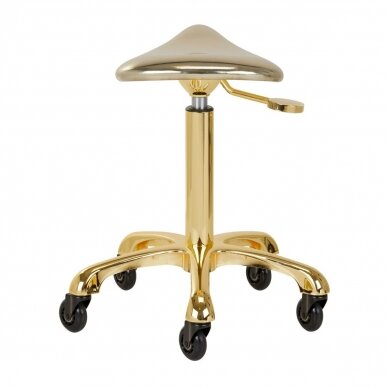 Professional masters chair for beauticians and beauty salons FINE GOLD ROLL SPEED, gold color 2