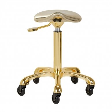 Professional masters chair for beauticians and beauty salons FINE GOLD ROLL SPEED, gold color 3