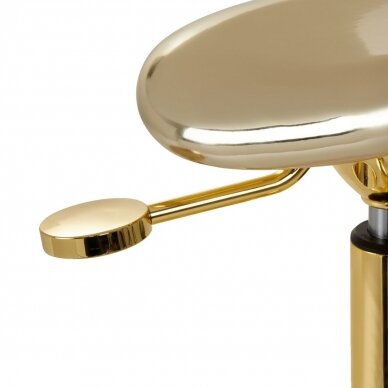 Professional masters chair for beauticians and beauty salons FINE GOLD ROLL SPEED, gold color 4