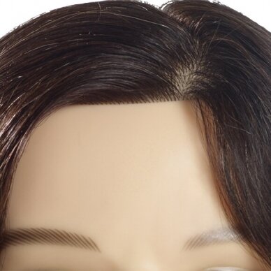 Profesionali natūralių plaukų galva kirpėjų bei stilistų mokymams ANDREAS, 25 cm 2