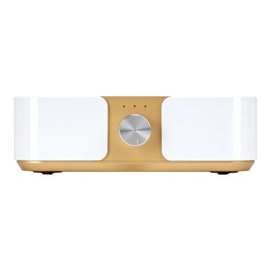 Professional dust collector for manicure MOMO P30 60W (white-gold color) 4