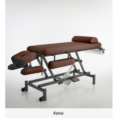 Professional electric physiotherapy and massage table EQ-1908 21 Professional electric physiotherapy and massage table EQ-1908 21