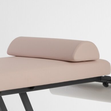 Professional electric physiotherapy and massage table EQ-1908 1