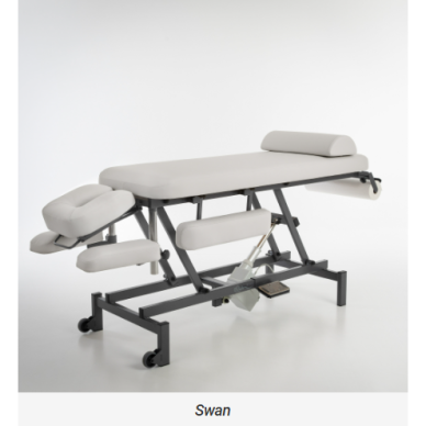 Professional electric physiotherapy and massage table EQ-1908 8 Professional electric physiotherapy and massage table EQ-1908 8