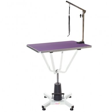 Professional hydraulic dog grooming table Blovi Event, 81x52, purple color