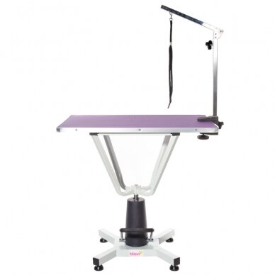 Professional hydraulic dog grooming table Blovi Event, 81x52, purple color 1