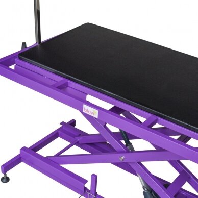 Профессиональный стол для стрижки животных Blovi Callisto Purple с электроуправлением, 125x65см., цвет фиолетовый 1