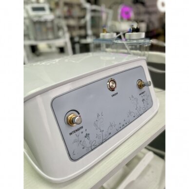 Professional water and oxygen microdermabrasion machine BR-1902 9