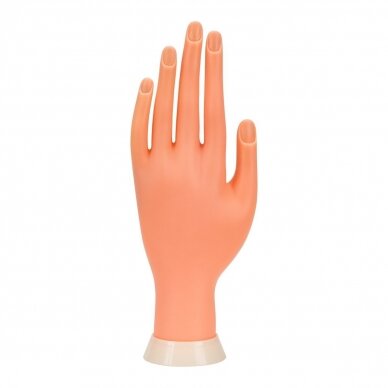 The hand for manicure training is attached to the table, 1 pc. 3