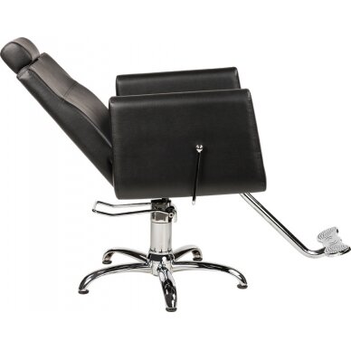 Профессиональное кресло для парикмахерских и салонов красоты RAY 2
