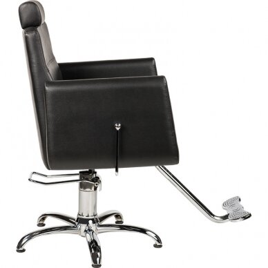 Профессиональное кресло для парикмахерских и салонов красоты RAY 1