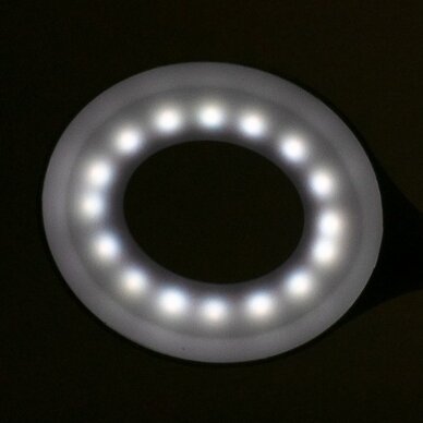 Professional table lamp LED SNAKE RING 3 Professional table lamp LED SNAKE RING 3