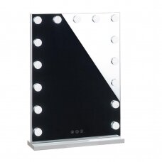 Mirror for beauty salons with LED lighting LED HOLLYWOOD, 43x58 cm.