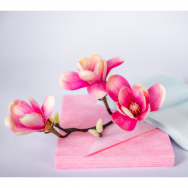Disposable towels for facial cleansing after SOFT and SCRUB procedures, 20 * 25 cm, 50 pcs.