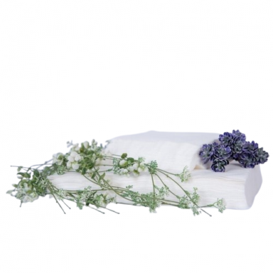 Vienkartiniai neautiniai kosmetologiniai rankšluostukai VELVET SOFT MD 15*20 cm, 100 vnt. Vienkartiniai neautiniai kosmetologiniai rankšluostukai VELVET SOFT MD 15*20 cm, 100 vnt.