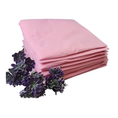 Disposable cover for cosmetology bed with elastic PINK 90 cm x 200 cm (10 pcs.) Disposable cover for cosmetology bed with elastic PINK 90 cm x 200 cm (10 pcs.)