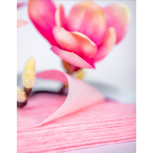 Одноразовые полотенца для очищения лица после процедур SOFT и SCRUB VELVET, 20*25 см, 50 шт. 1 Одноразовые полотенца для очищения лица после процедур SOFT и SCRUB VELVET, 20*25 см, 50 шт. 1