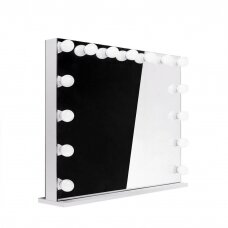 Mirror for beauty salons with LED lighting LED NEW YORK, 120x80 cm